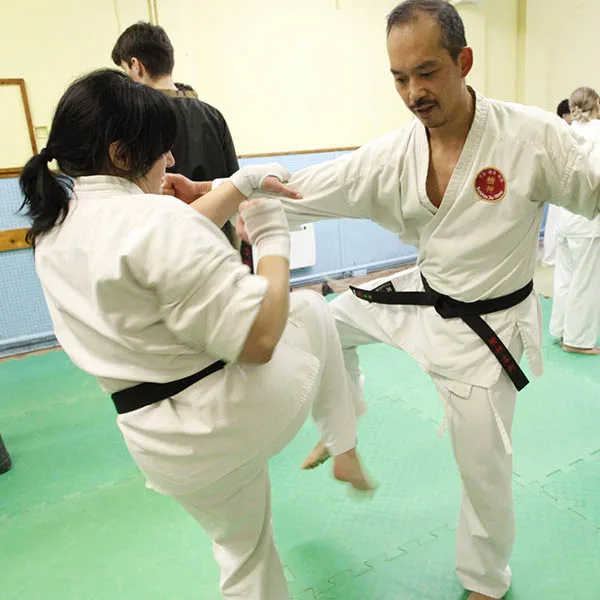 2024 Mixed Martial Arts Seminar in North London 11