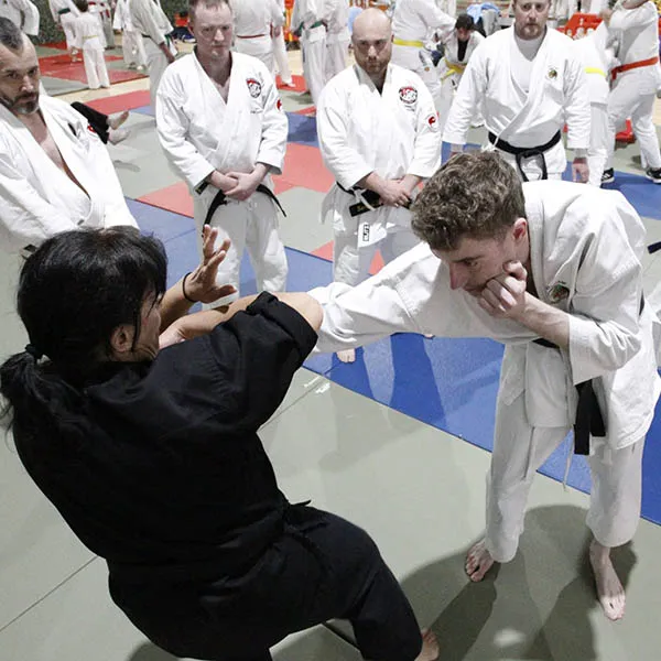 Hatfield Martial Arts Seminar 02