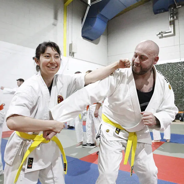 Hatfield Martial Arts Seminar 04