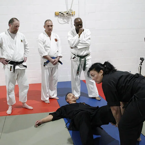 Hatfield Martial Arts Seminar 04