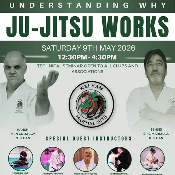 Hatfield Martial Arts Seminar 07