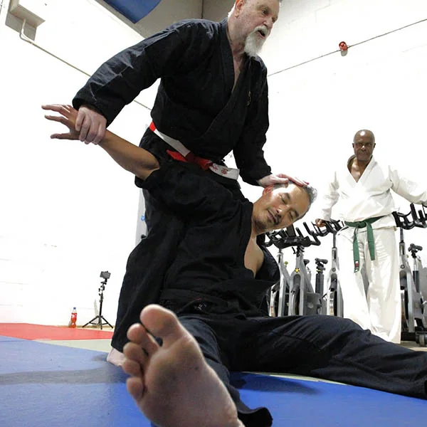 Hatfield Martial Arts Seminar 10